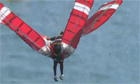Is it a bird? Is it a plane? No, its the Birdman of Bognor - video