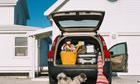 Dog by car full of luggage