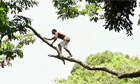 Diver jumps from 35m into Peruvian Amazon river- video
