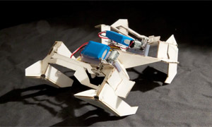 Self-folding robot 