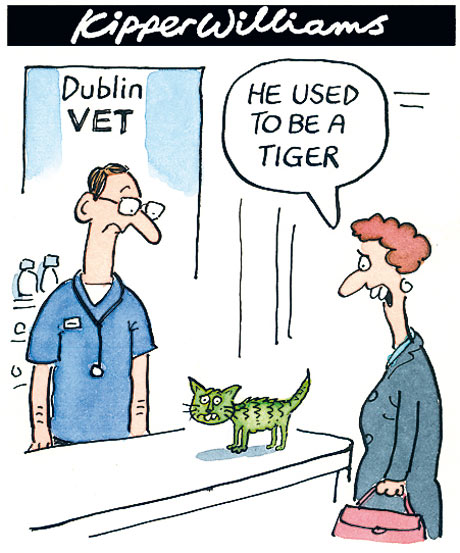 celtic tiger cartoon