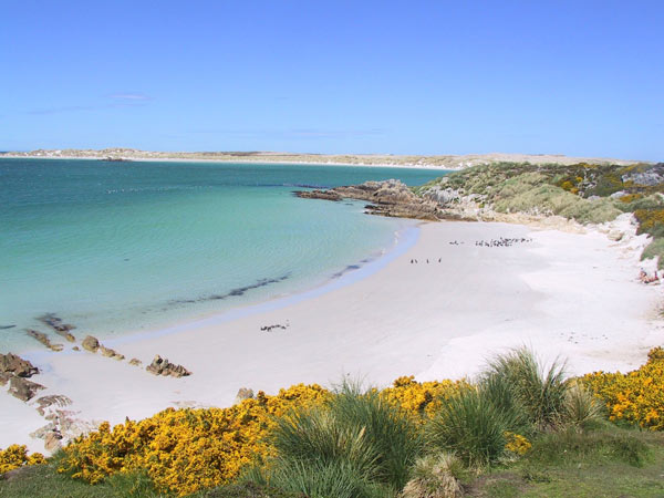 Gypsy Cove, Stanley, Falkland Islands