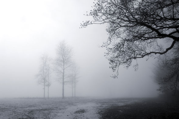 iStock Britain iS: Bare deciduous trees in a misty winter landscape, rural Kent, England, UK  