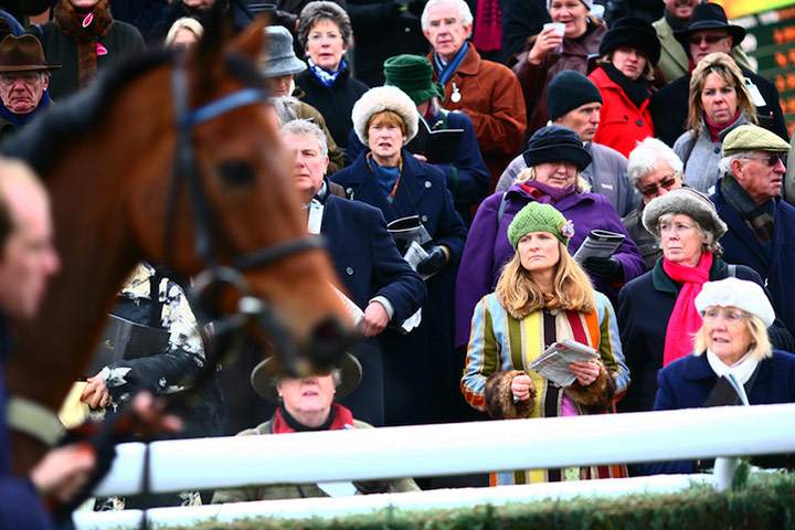 Enjoy England Newbury: Spectators watch the horses in the parade ring at Newbury Racecourse.