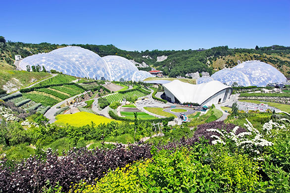 Visit South West: The Eden Project's Humid Tropics and Warm Temperate Biomes
