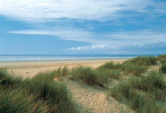 Bluestone: The Pembrokeshire coast