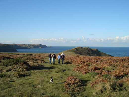 Bluestone: Walkers on the Pembrokeshire coast