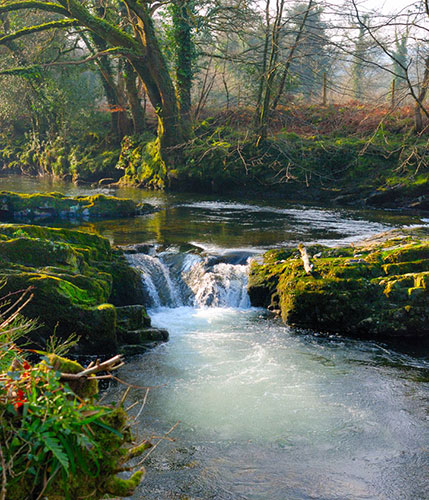 Visit South West: A waterfall on the river Dart on Dartmoor 