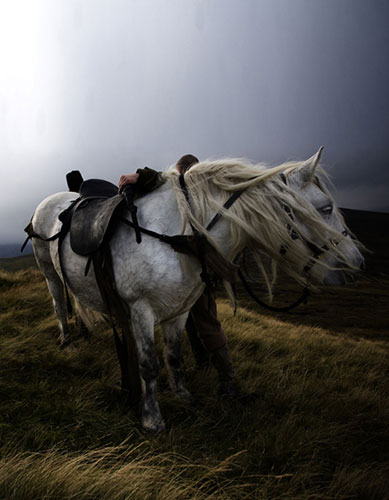 Culture category: Fred – deer pony, by Fiona Halliday