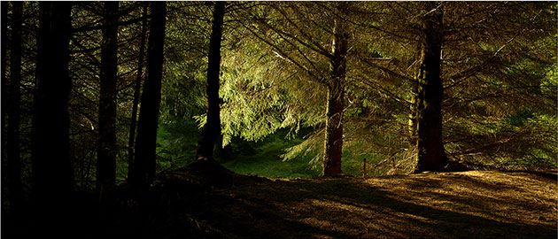 Landscape shortlist: Galloway Forest Park by James Homer