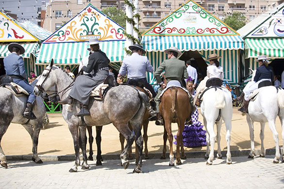 Photography masterclass: A row of horses in Seville