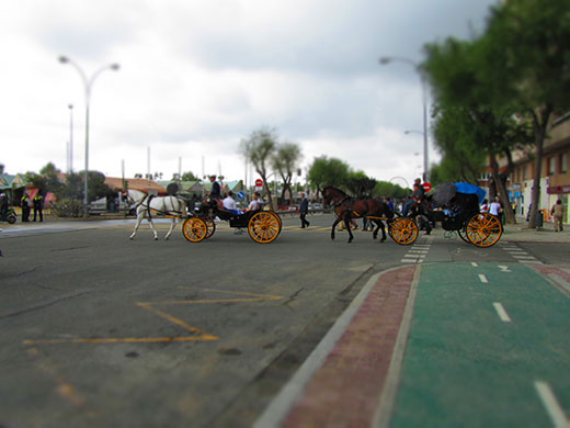 Photography masterclass: A cycle lane in Seville, with horse-drawn carriages in the background