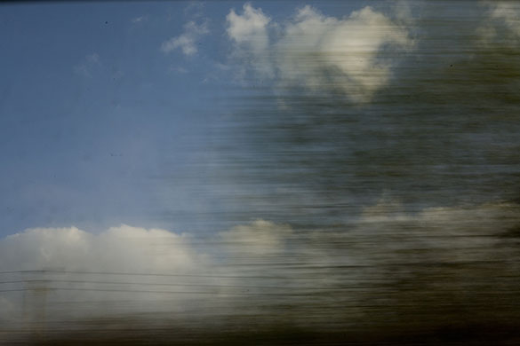 Movement: A blurred image of a tree