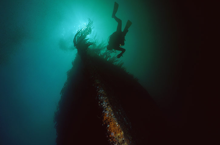 Visit Orkney: A diver investigates the wreck of the German ship Brummer in Scapa Flow