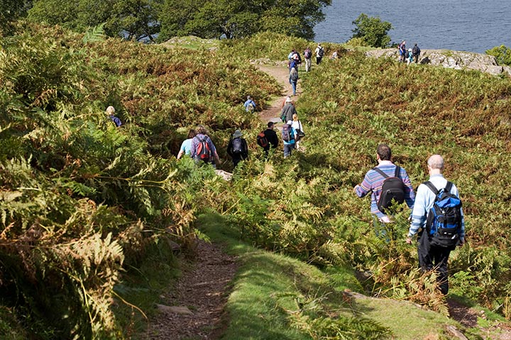 Ullswater walk: A rocky outcrop near Hallinhag 