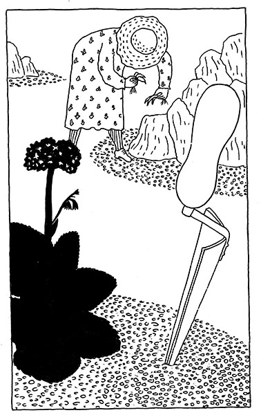 Folio Society | Women: Miss Marple Stories