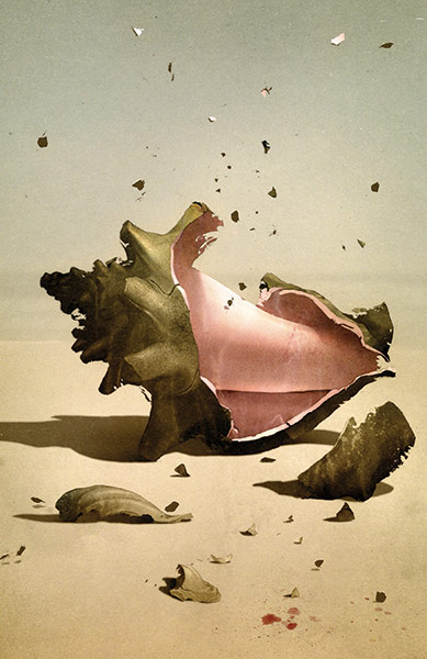 Folio Society | Classics: A broken shell in Lord of the Flies