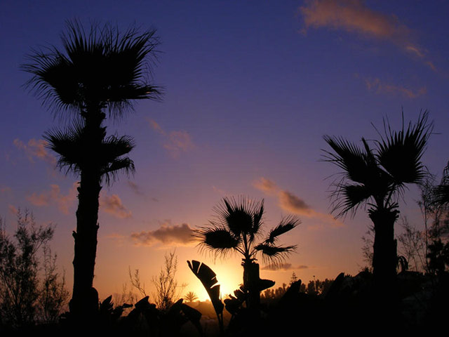 Campo Viejo : Karen Joyce, Marbella