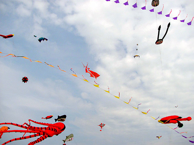 Campo Viejo : Kites in Valencia