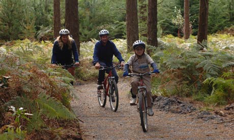 A family cycling at Haldon Forest Park, near Exeter