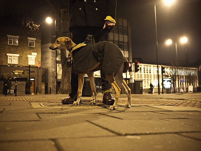 Panasonic - Nocturnal: A greyhound on a lead with its owner.