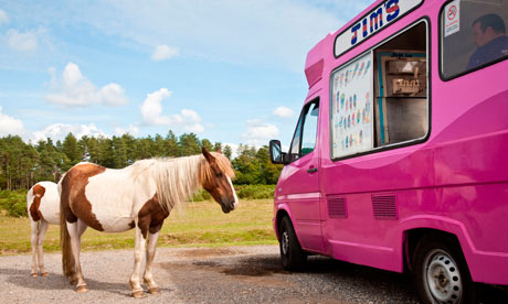 '99 with a Flake, please'. sweet-toothed horses at Tom's Field