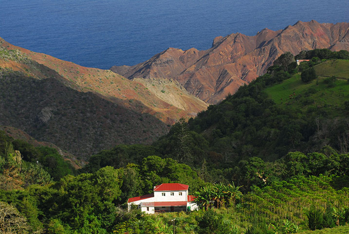St Helena tourism: Plantations on St Helena near Sandy Bay