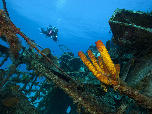 Cayman Islands: Diving: The rusting superstructure of the MV Captain Keith Tibbetts