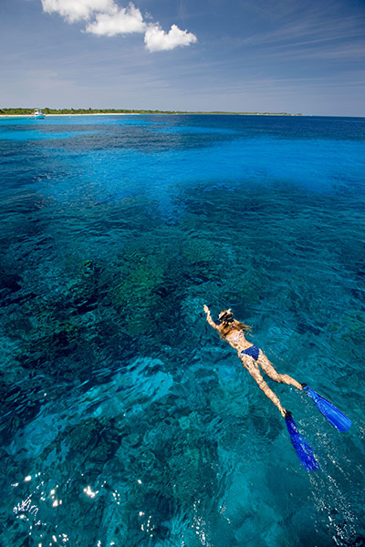Cayman Islands: Diving: Snorkeler, near Bloody Bay Wall.