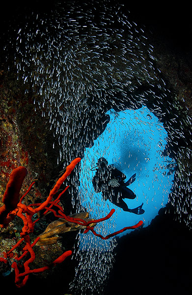 Cayman Islands: Diving: Walls, tunnels and swim-throughs characterise many of Cayman’s dive sites