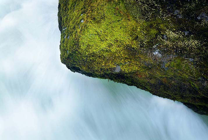Panasonic | Yosemite: Water rushing past a mossy rock in Yosemite National Park, California
