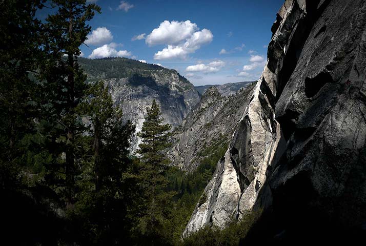 Panasonic | Yosemite: Trees on a mountain and blue skies, Yosemite National Park, California