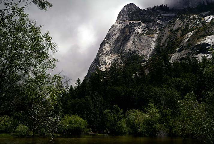 Panasonic | Yosemite: Grey stone mountain surrounded by trees, Yosemite National Park, California