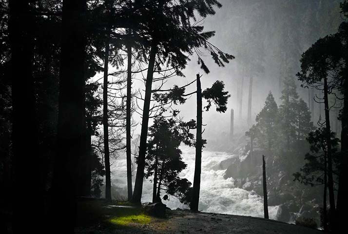 Panasonic | Yosemite: White rapids pass dark tree edged cliffs Yosemite National Park, California