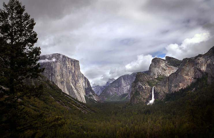 Panasonic | Yosemite: Tree covered valley with waterfall in Yosemite National Park, California