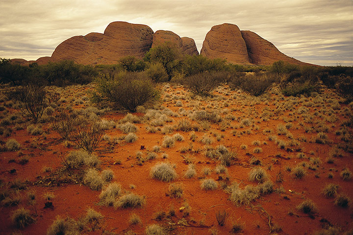 STA Travel: Kata Tjuta rock in Australia
