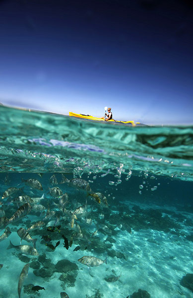 STA Travel: kayak instructor Ningaloo marine park 