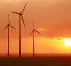 Ecotricity offer - wind turbines in a field