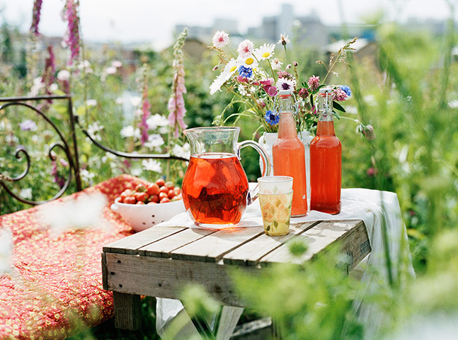 Brita drinks: Drinks served in a jug on rustic table top outdoors