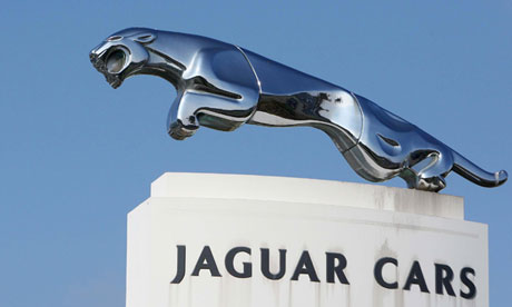 Jaguar plant