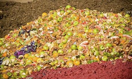 Food waste produce to be composted