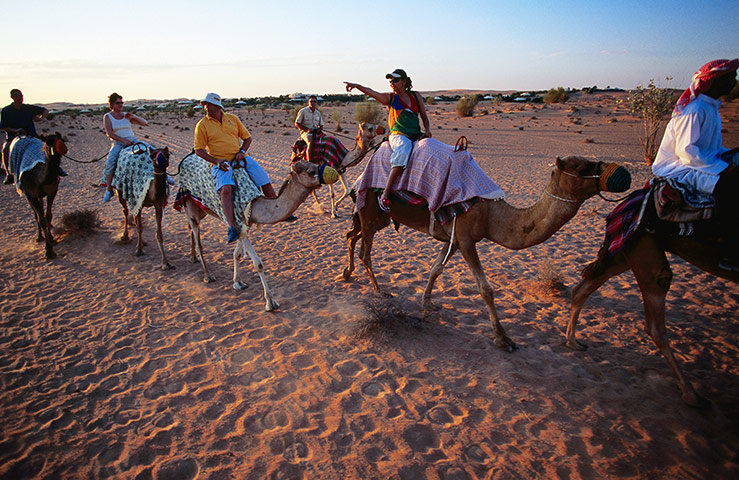 Hilton: Camel riding in Dubai