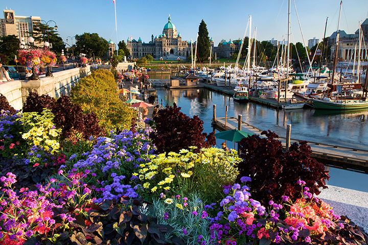 British Columbia: <strong>Flower power: </strong>British Columbia's capital Victoria sits on 