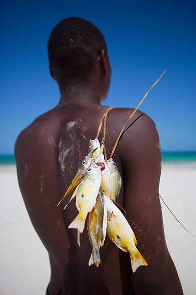 TUI Kenya: TUI Kenya: Fishes on the back of a young man