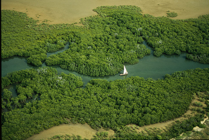 TUI Kenya: TUI Kenya: Lamu Archipelago, Kenya. A boat sails in between islands.