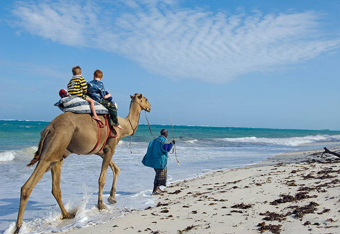 TUI Kenya: TUI Kenya: Kenya, Watamu. Two small boys enjoy a camel ride