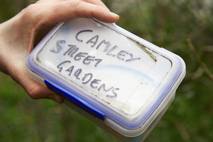 Duracell: Hidden in a quiet corner of the reserve, this is a large, easy to find geoc