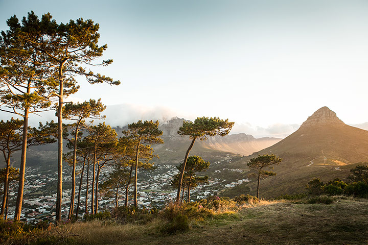 Hilton Gallery 1: Lion's head from Signal Hill, Cape Town