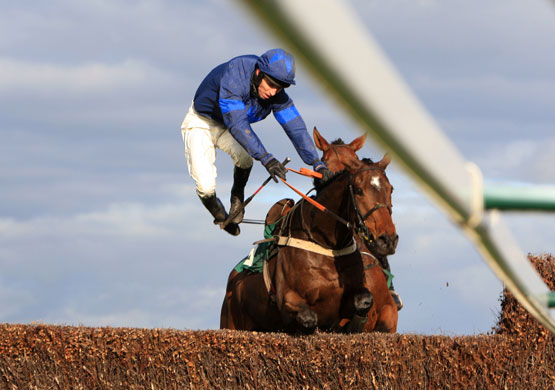 24sport: Jockey Leighton Aspell is thrown as Uncle Eli refuses at the last