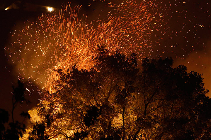 Embers and flames burn a tree on the mountain off Potrero Road